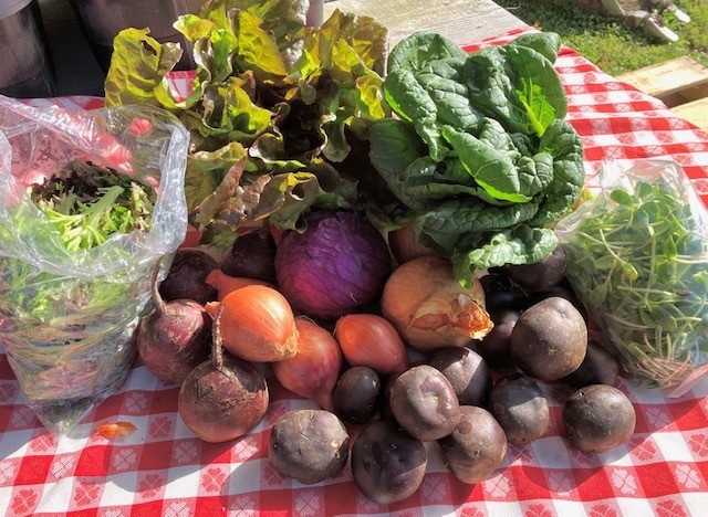 The Valley Flora Beetbox | Valley Flora
